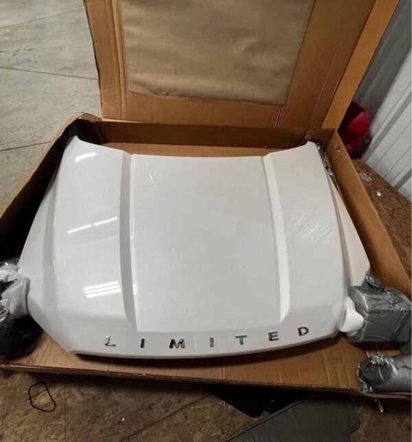 592389116_122178602102490420_5222245022661231322_n (1) F-150 Limited Hood