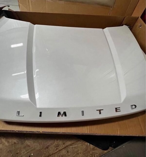 592428589_122178602132490420_1736238908864879107_n (1) F-150 Limited Hood